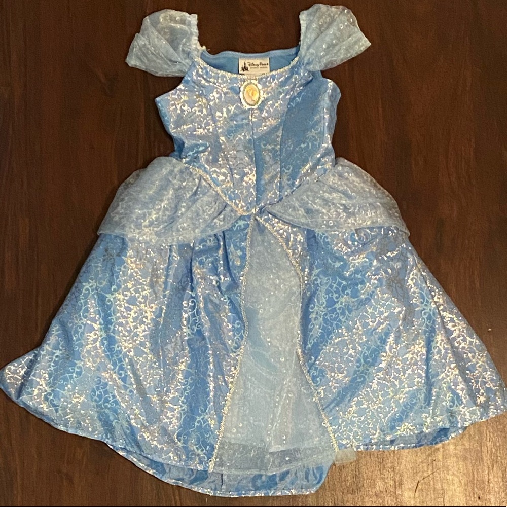 Cinderella costume